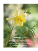 Aquilegia flower: Touchwood feature in Gardens Illustrated Magazine, May 2013